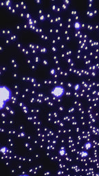Immersive Galaxy Light 2.0